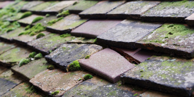 Gwehelog roof repair costs